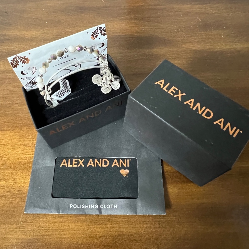 Alex and Ani Silver Charm Bracelet